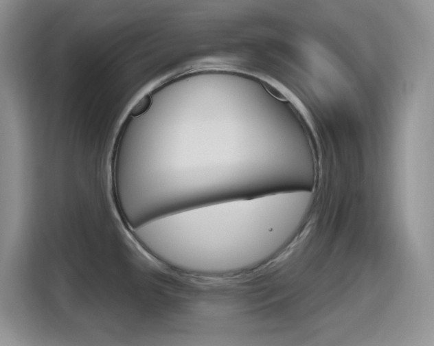 X0000116151341200911230944