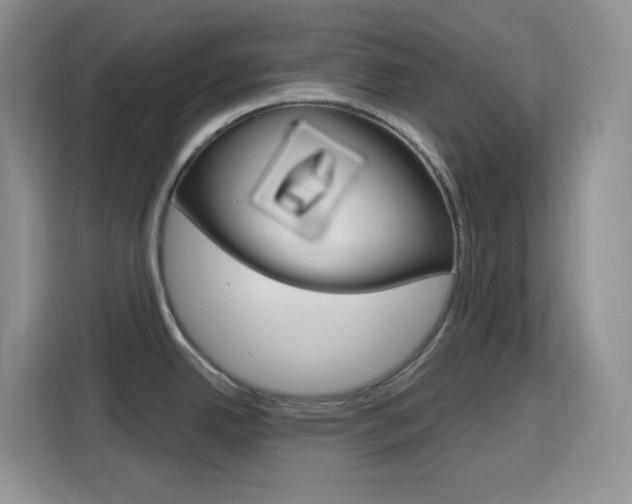 X0000116151342200911230944