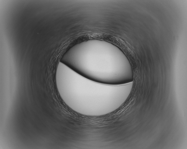 X0000116151345200911230943