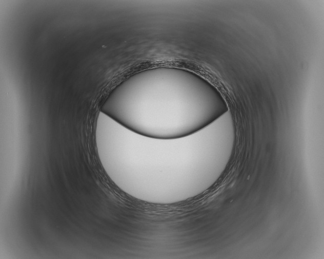 X0000116151348200911230943