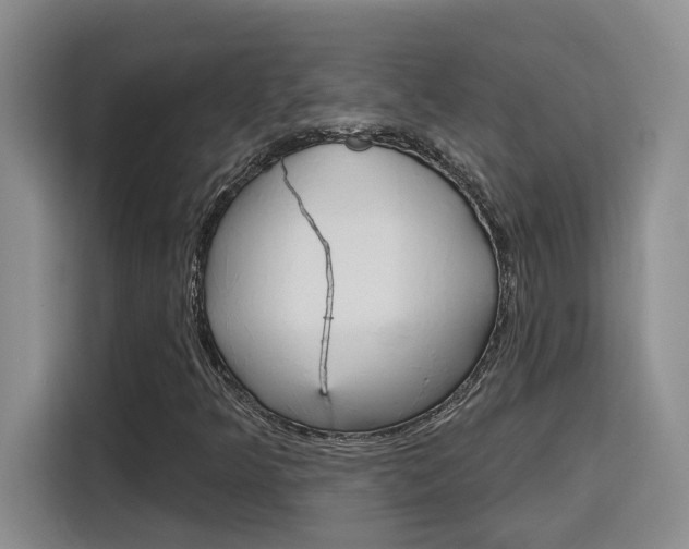 X0000116151349200911230943