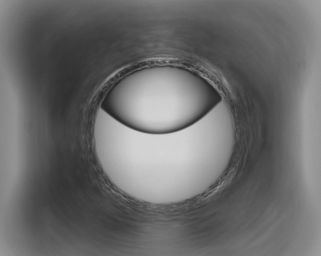 X0000116151352200911230943