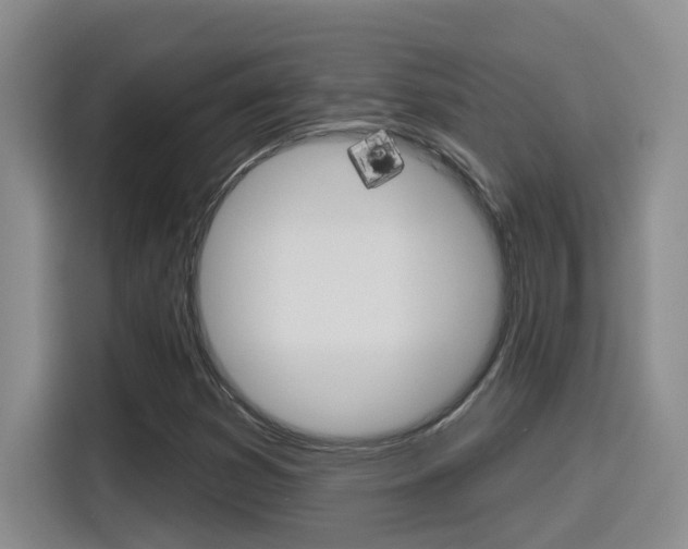X0000116151353200911230943