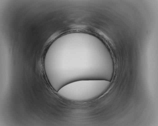 X0000116151354200911230943