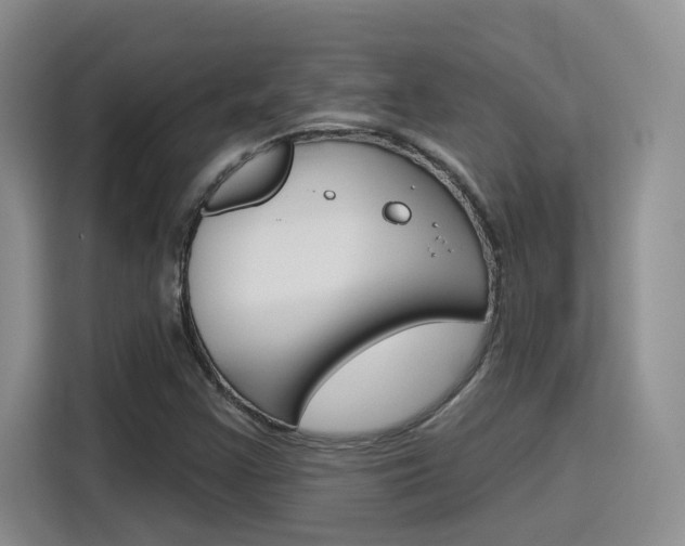 X0000116151355200911230943