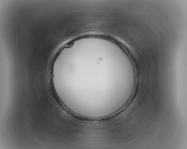 X0000116151359200911230943