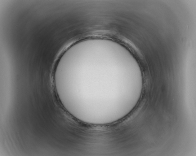 X0000116151362200911230943