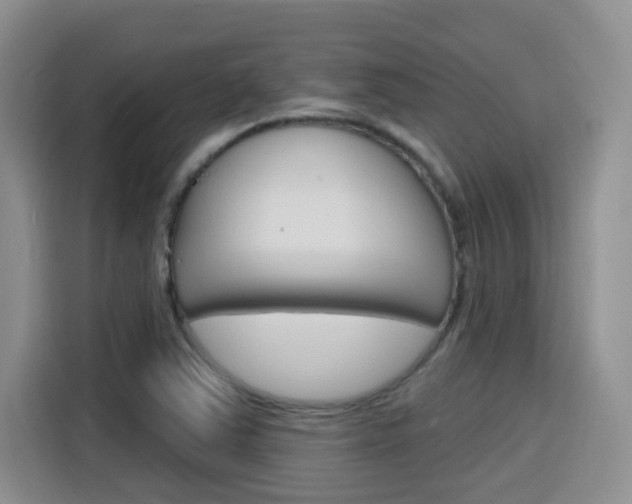 X0000116151363200911230943