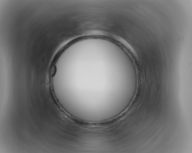 X0000116151364200911230943