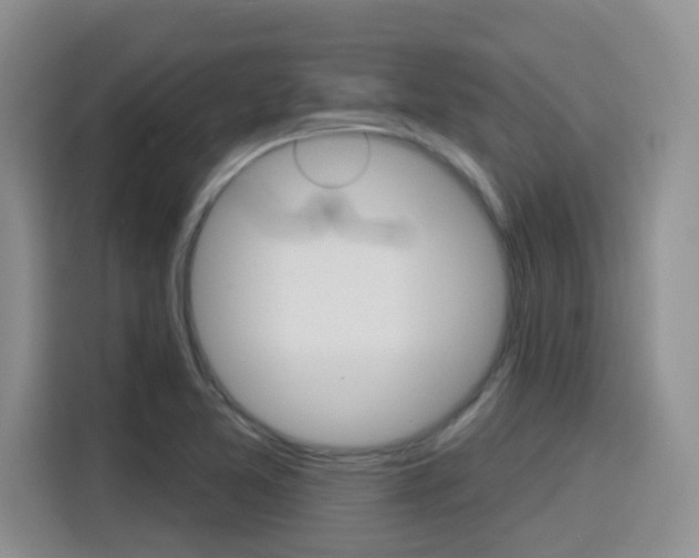 X0000116151365200911230943