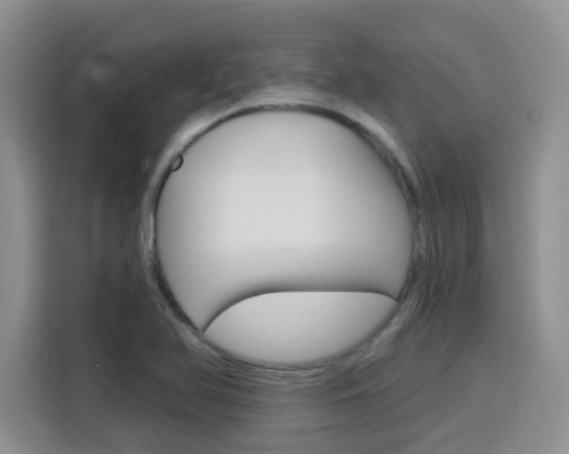 X0000116151366200911230943