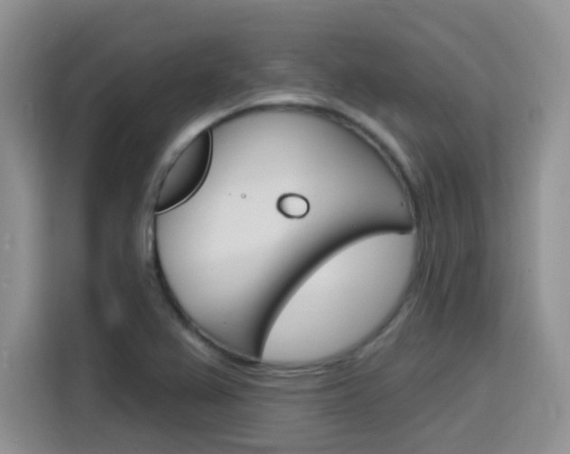 X0000116151367200911230943