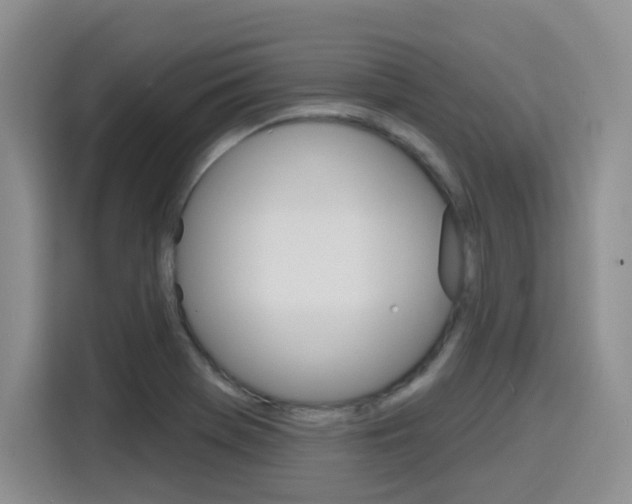 X0000116151369200911230943