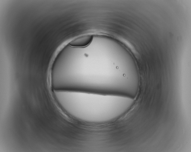 X0000116151371200911230943