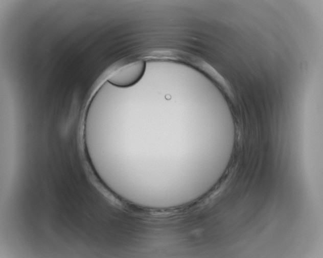 X0000116151378200911230943