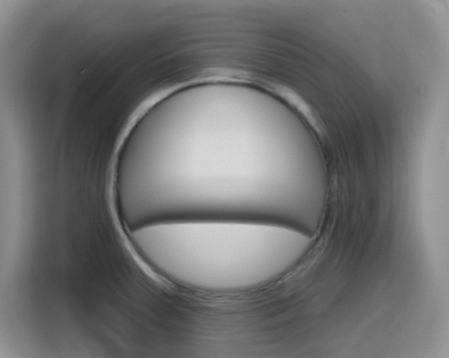 X0000116151379200911230943