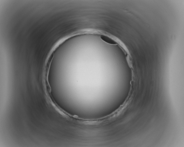 X0000116151381200911230943