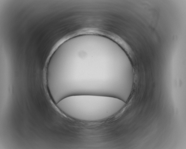 X0000116151382200911230943