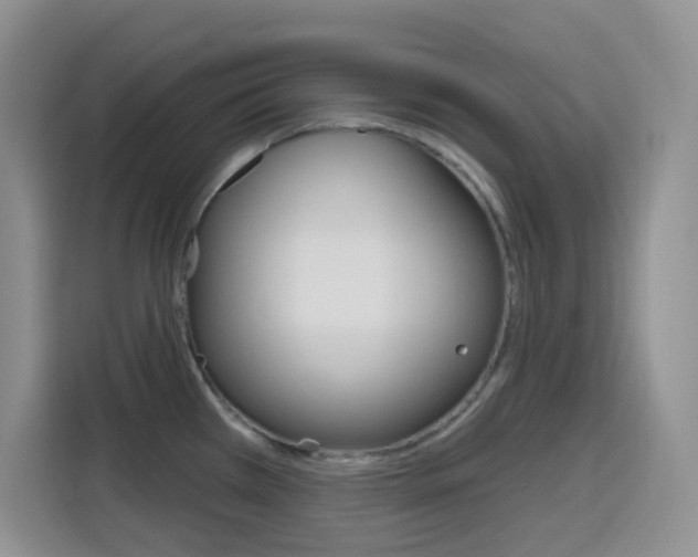 X0000116151385200911230943