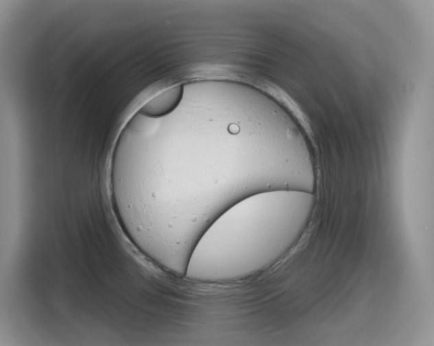 X0000116151386200911230943