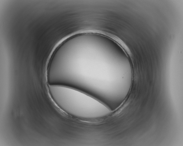 X0000116151388200911230943