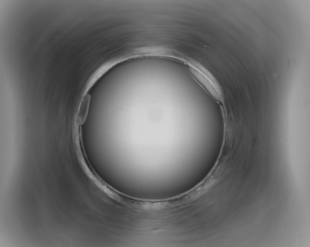X0000116151389200911230943