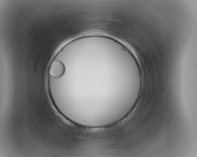 X0000116151390200911230943