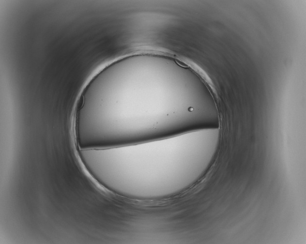 X0000116151391200911230943