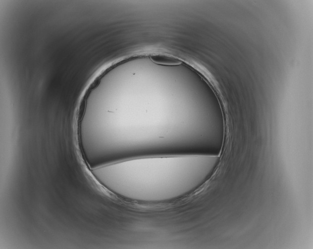 X0000116151392200911230943