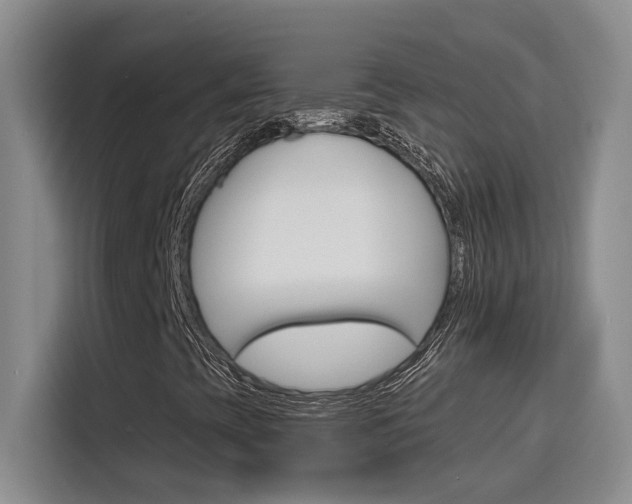 X0000116151393200911230942