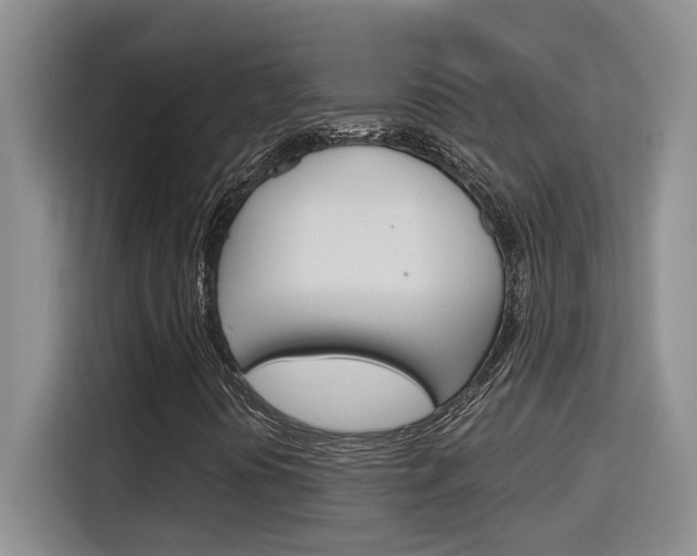 X0000116151394200911230942