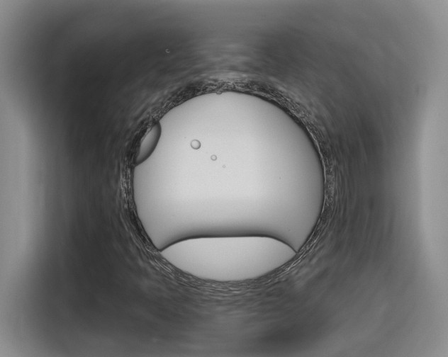 X0000116151397200911230942