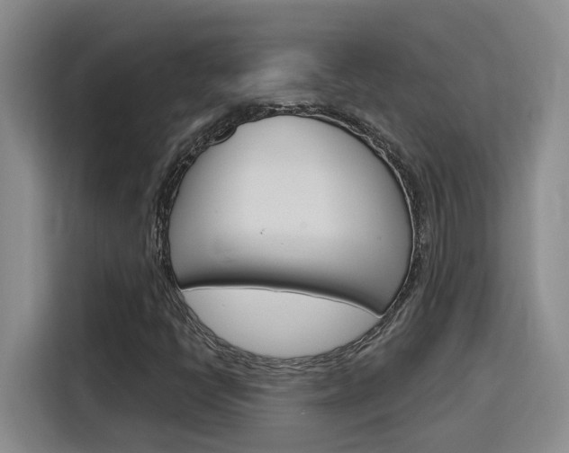 X0000116151398200911230942