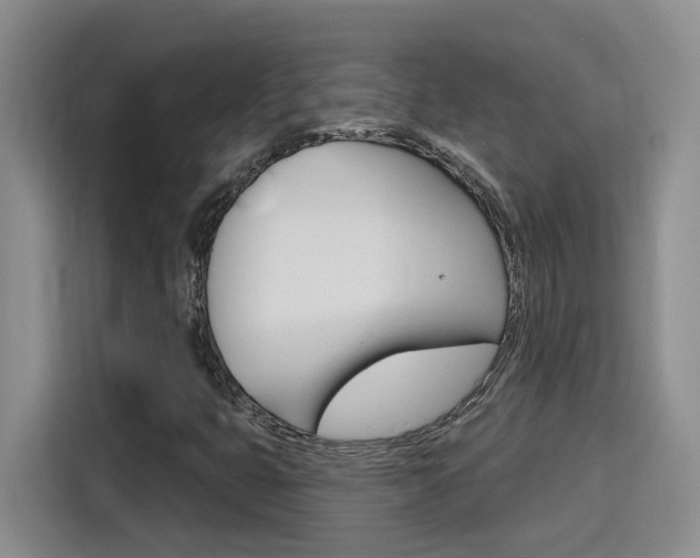 X0000116151399200911230942