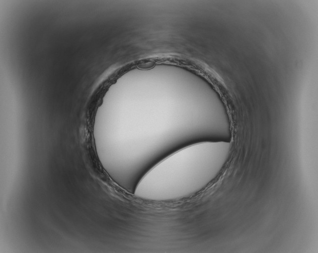 X0000116151400200911230942