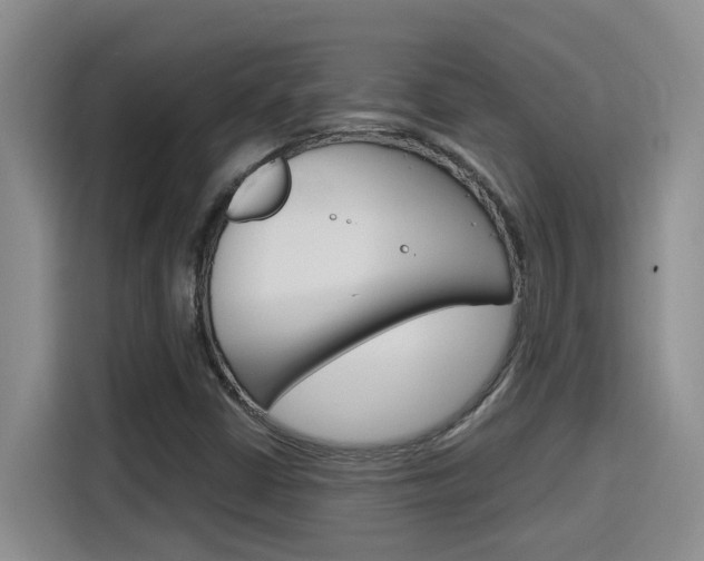 X0000116151402200911230942