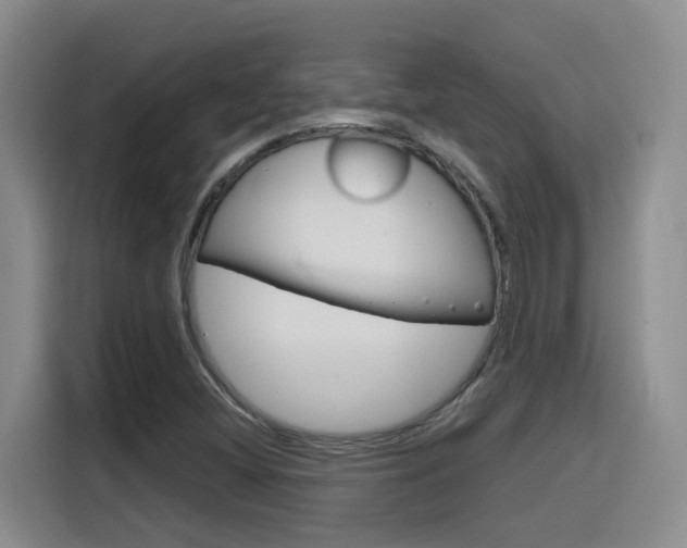 X0000116151404200911230942