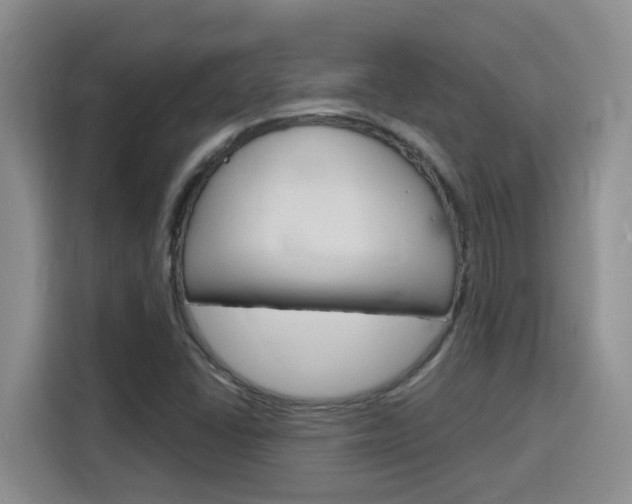 X0000116151406200911230942