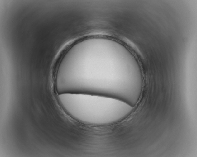 X0000116151408200911230942