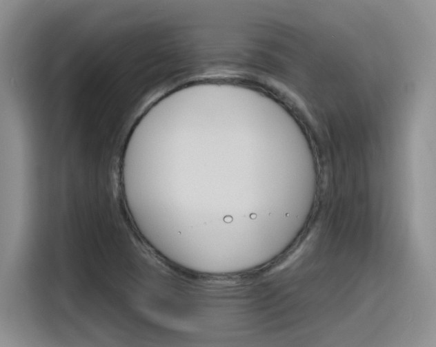 X0000116151409200911230942
