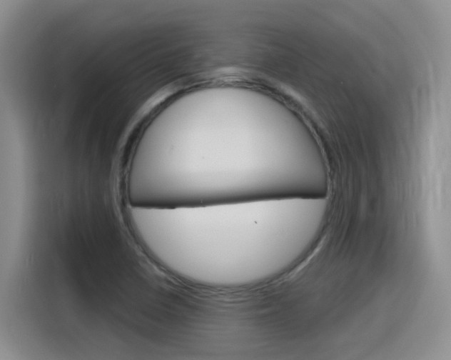 X0000116151410200911230942