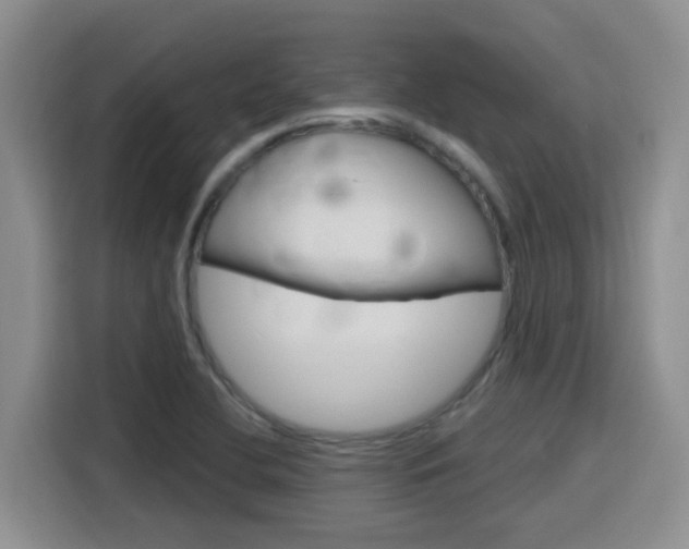 X0000116151412200911230942