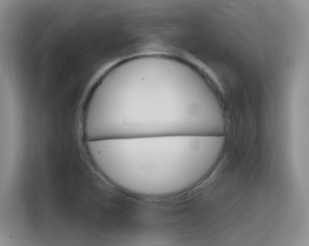 X0000116151415200911230942