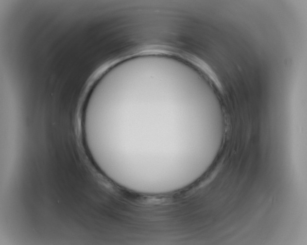 X0000116151419200911230942