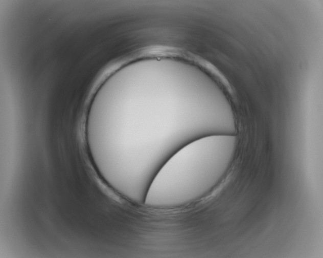 X0000116151421200911230942