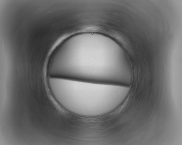 X0000116151422200911230942