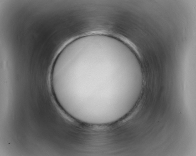 X0000116151423200911230942