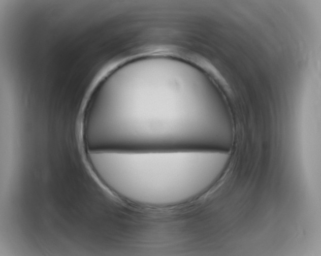 X0000116151424200911230942