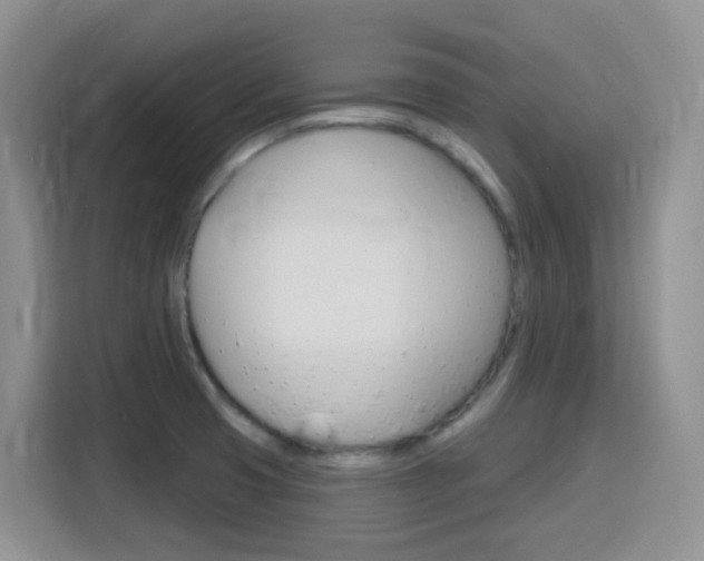 X0000116151425200911230942