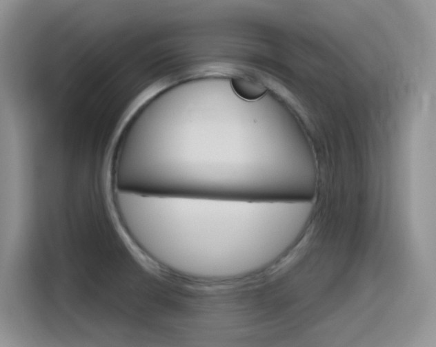X0000116151426200911230942